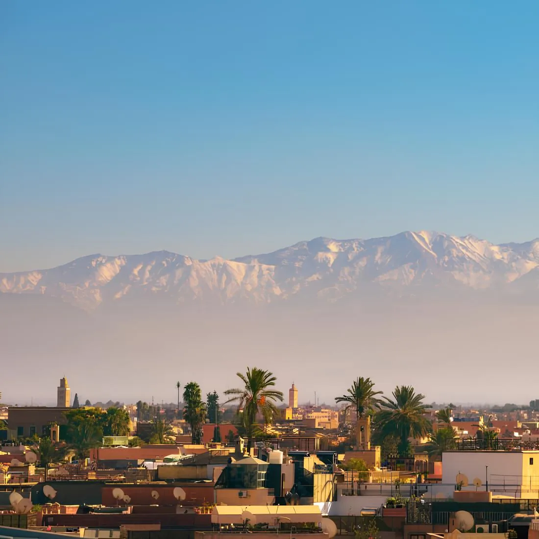 Location scooter Marrakech - MOVO louer un scooter premium dans la ville ocre